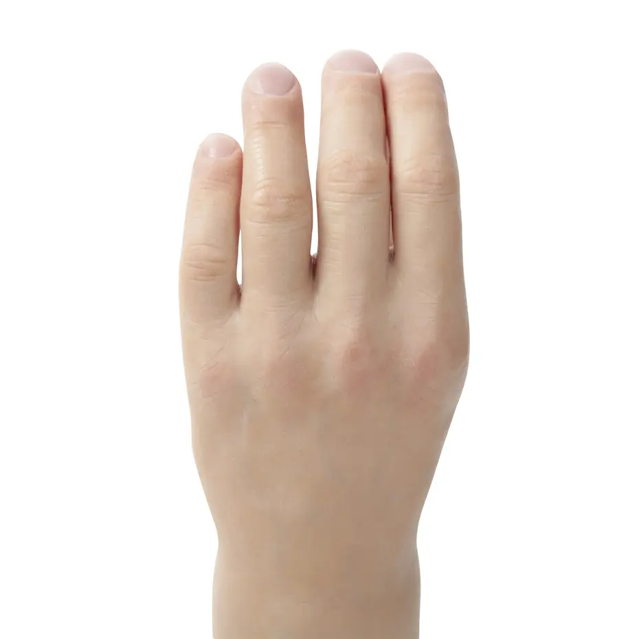 Vue du dos de la main et des articulations des doigts