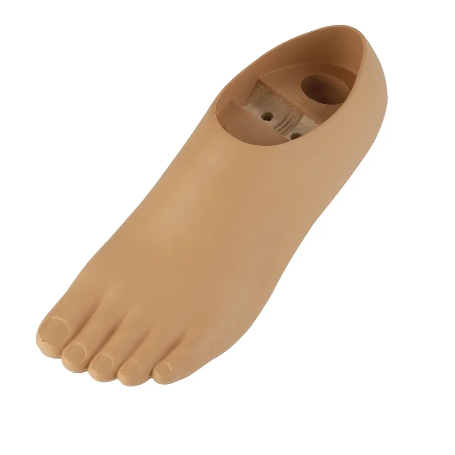 Produktbild | Gesamtansicht 1:1 (farbig) Normgelenk-Fuß mit Zehen 1H40
