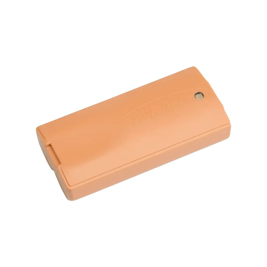 Photo du produit | Vue complète 1:1 (en couleurs) Batterie EnergyPack (couleur 4) 757B20